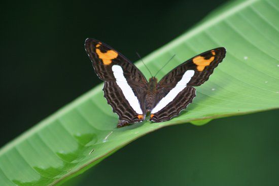 Parque Ecológico Rufino Tamayo